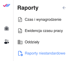 raport niestandardowe